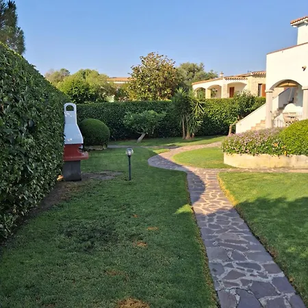 Terra * Olbia
